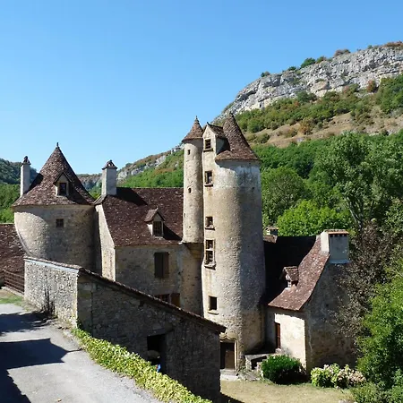 Familial Avec Jardin Privatif - Pres De Rocamadour Et Padirac Saint-Michel-de-Bannières